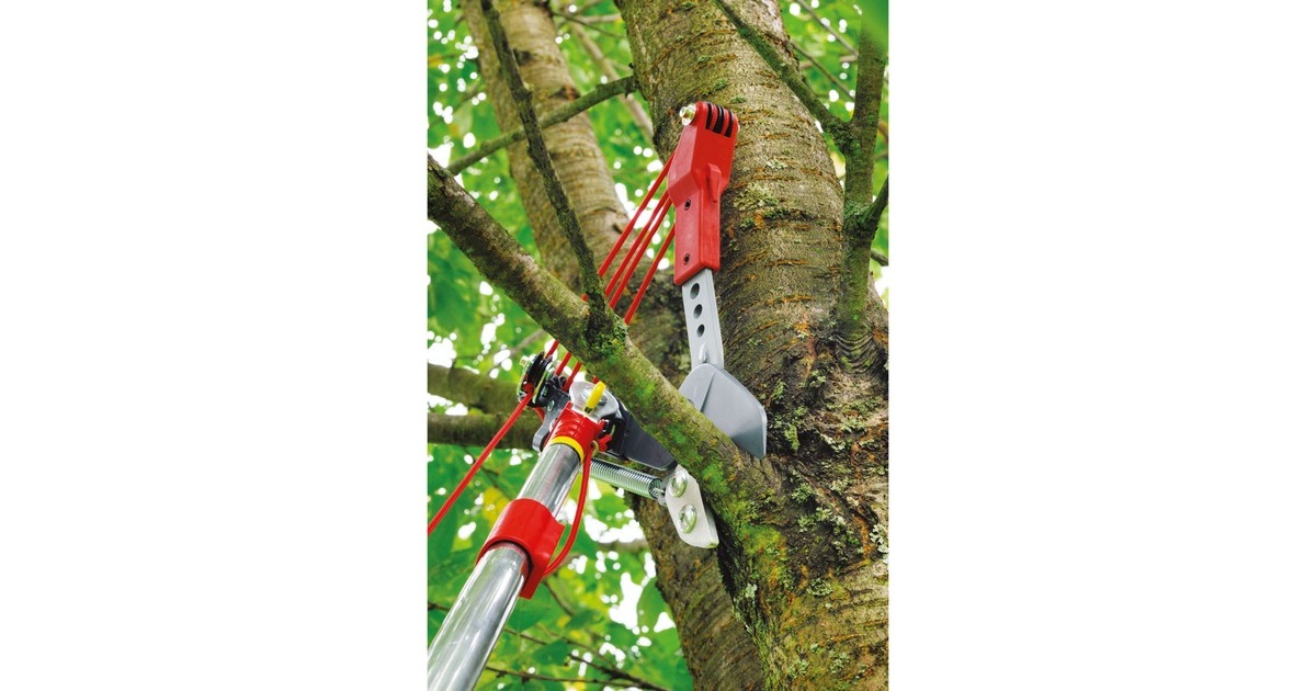 WOLF-Gartenmulti-star boomschaar Vario RC-VM  (Rood)