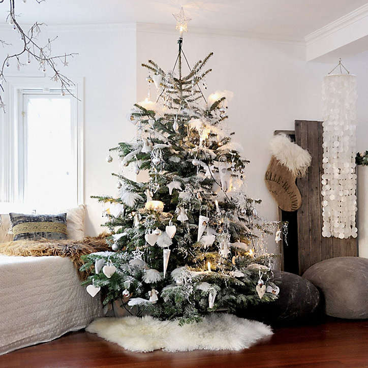 Sapin naturel Nordmann h.150/175 cm