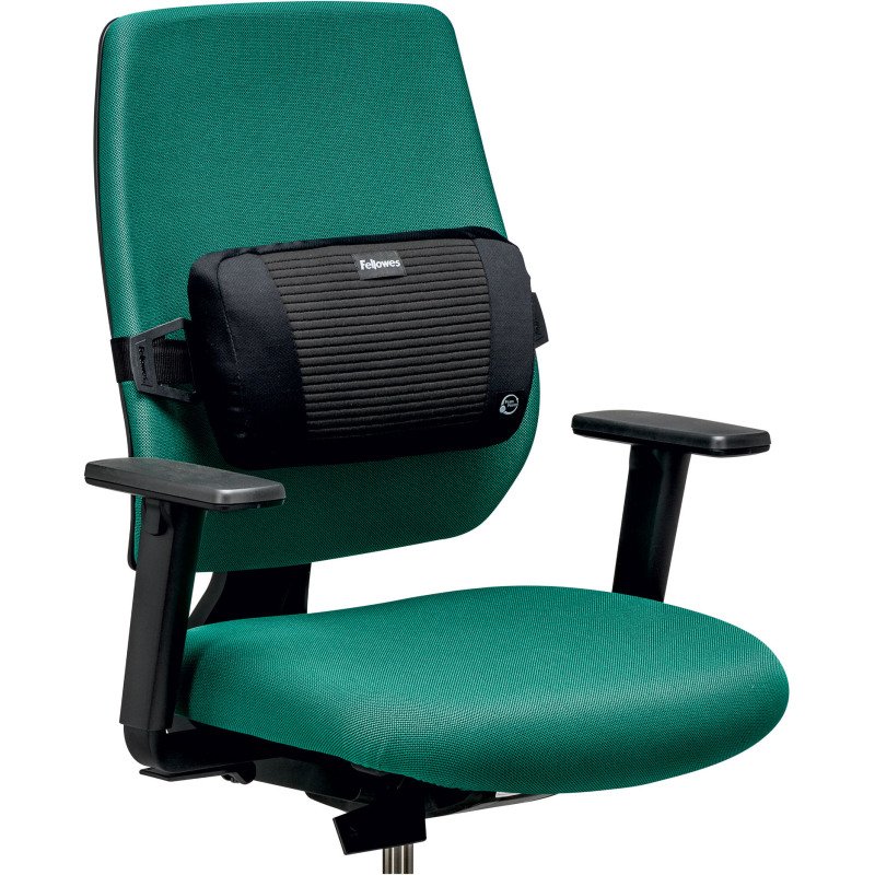 Support dorsal Plush Touch - Fellowes