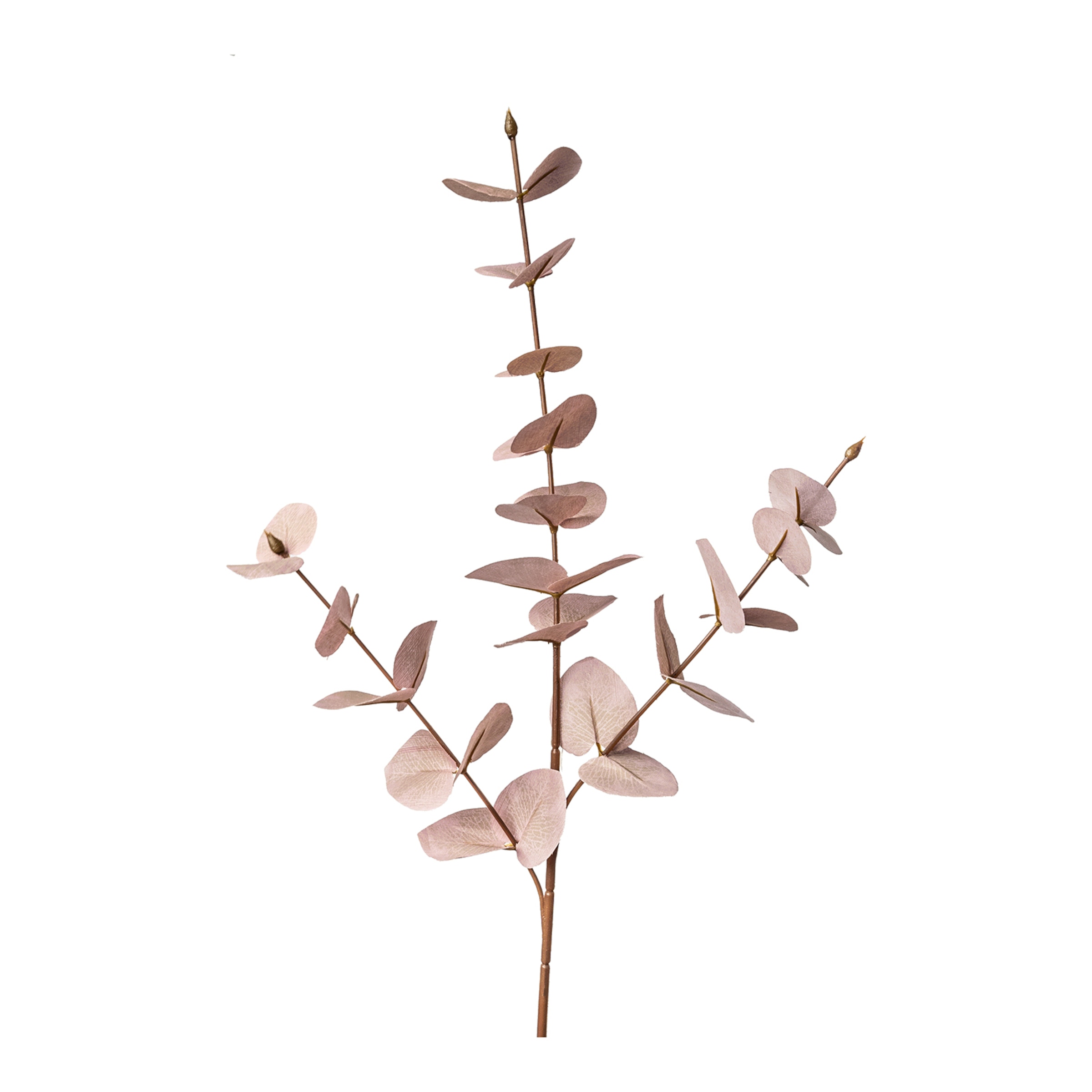 rosa, L 68 cm