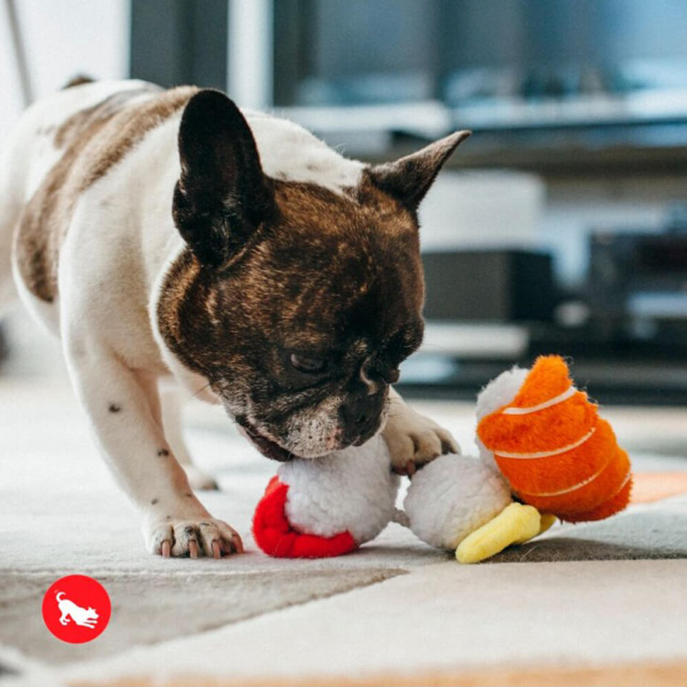 P.L.A.Y. Pet International Classic - Sushi Toy