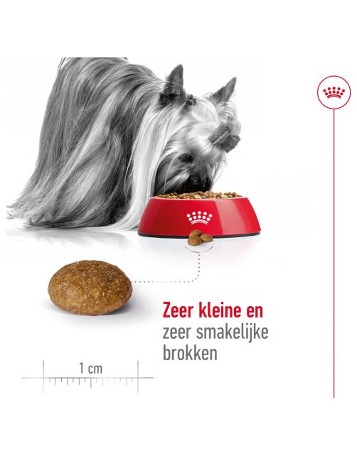 Royal Canin X-Small Adult 8+ - Hondenvoer