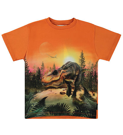 Molo T-Shirt - Riley - Dino Lake