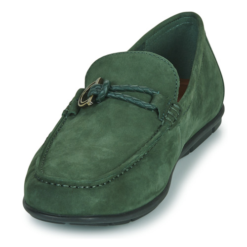 Aldo - LEANGELO - Vert
