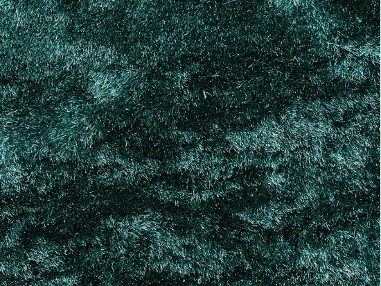 Tapis shaggy à poils longs ultra doux - 160 x 230 cm - vert pinède - DOLCE