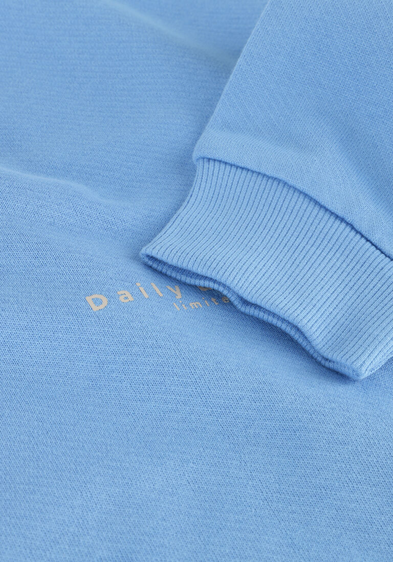 DAILY7 blauwe daily7 sweater sweater oversized dly7