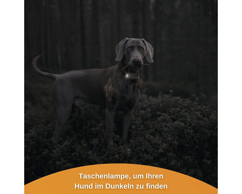 GPS tracker weenect voor honden, 28 g, 6 x 2,4 x 1,5 cm, wit