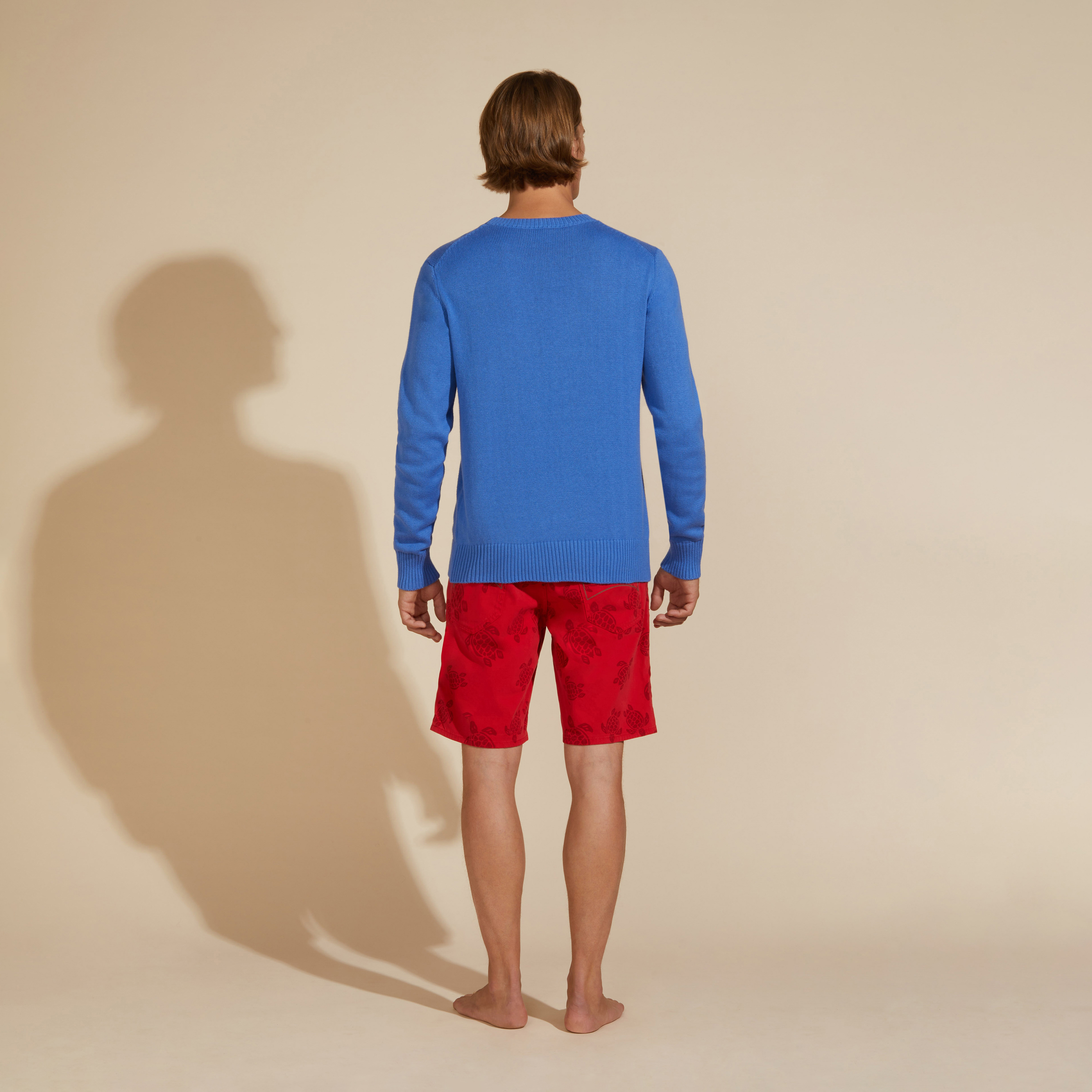 Pullover en Coton et Cachemire Ras-du-cou Homme Tortue