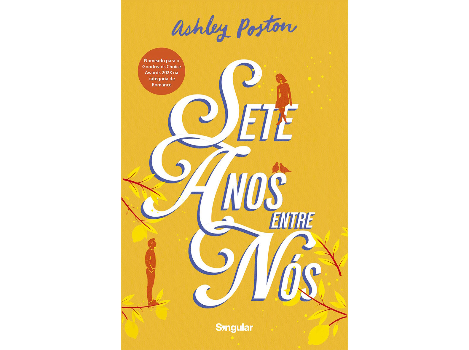 LIVRO SETE ANOS ENTRE NÓS