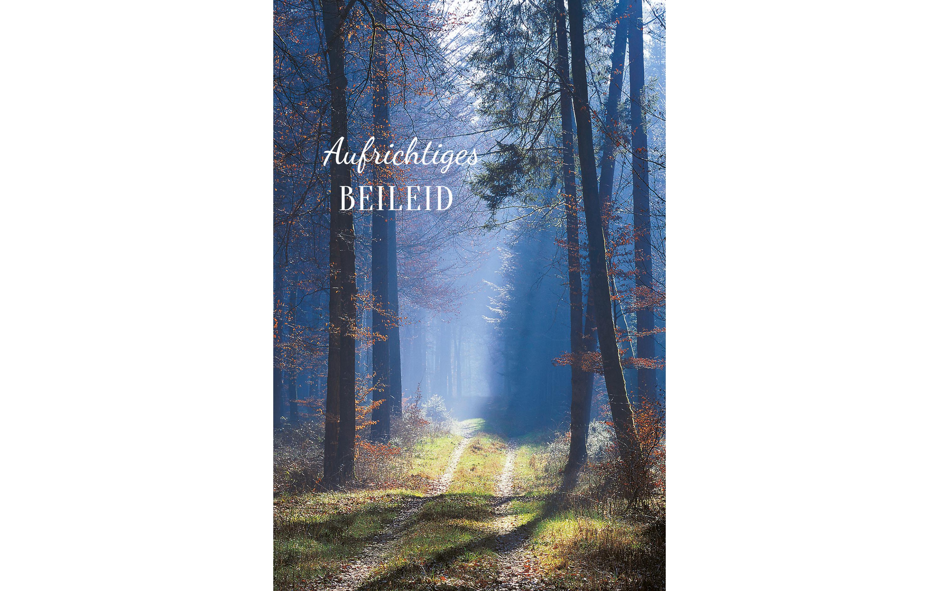 Trauerkarte Wald, B6, mit CouvertAufrichtiges Beileid