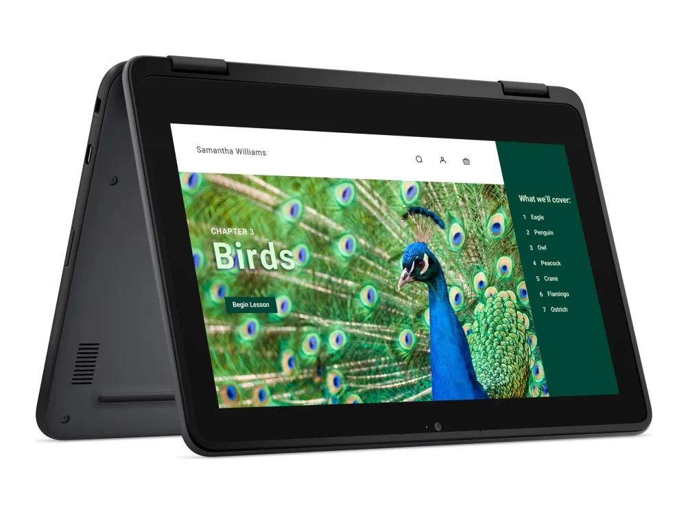 Dell Chromebook 3120 (2024) - Intel N-series - N100 / op til 3.4 GHz - Chrome OS - UHD Graphics - 4 GB RAM - 64 GB eMMC - 11.6