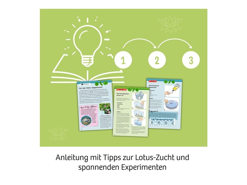 Kosmos Experimentierkasten Lotusblume Einzigartiges Anzuchtset