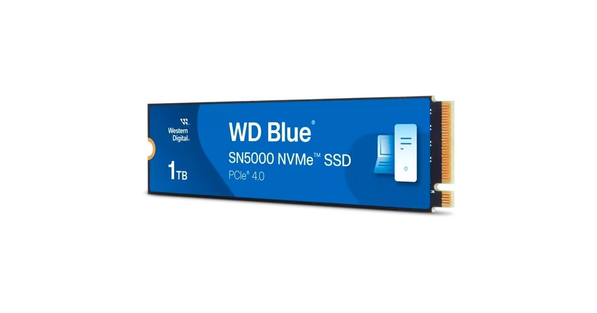 WDBlue SN5000 NVMe 1 TB SSD  (Blauw, WDS100T4B0E, M.2 2280, PCIe Gen4 x4)