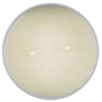 The Candle Company (Carroll & Chan) 100% Beeswax Tin Candle - Geraniol & Citronella (8x6) cm