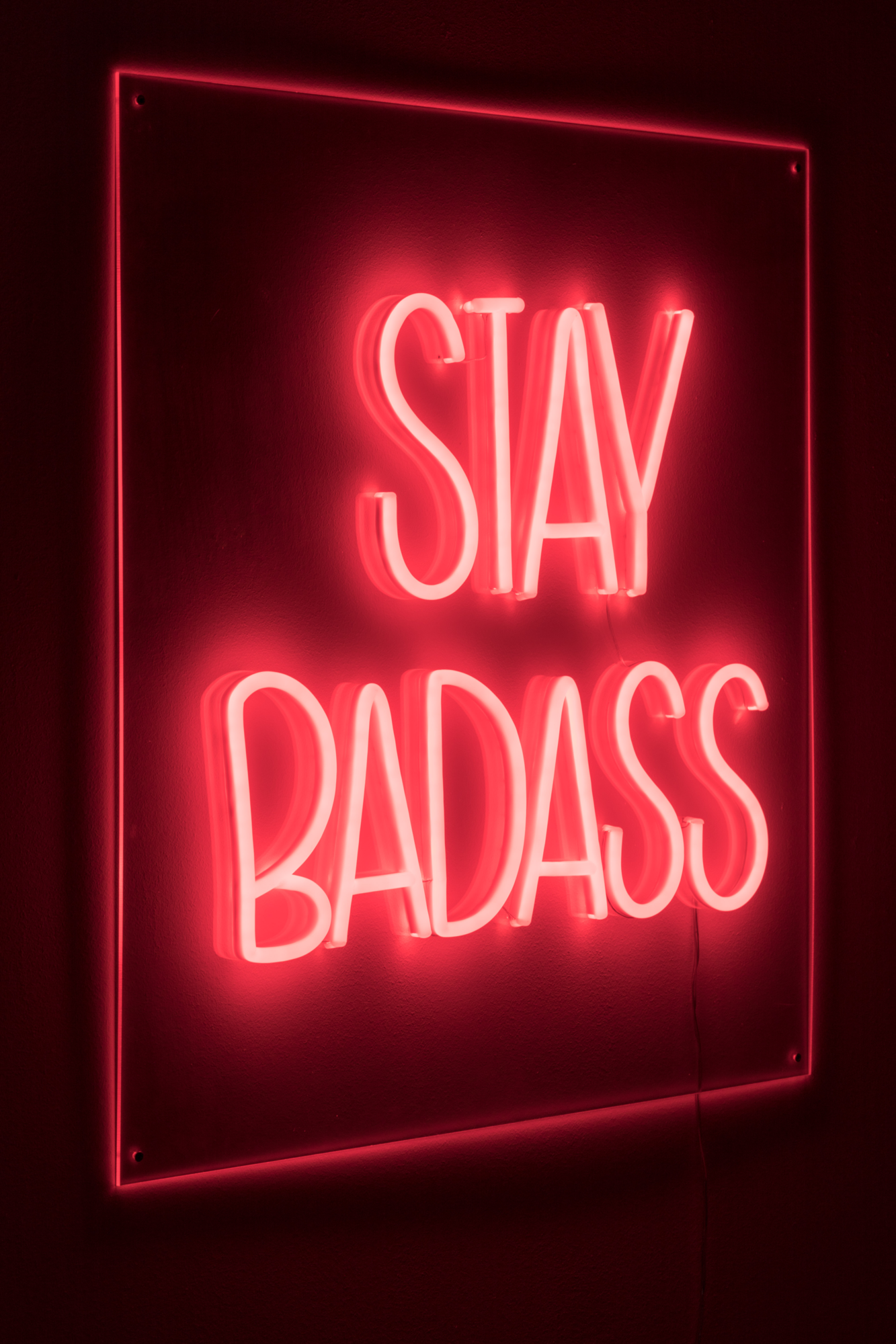 Bold Monkey Badass non social sign Bold Monkey Badass non social bord