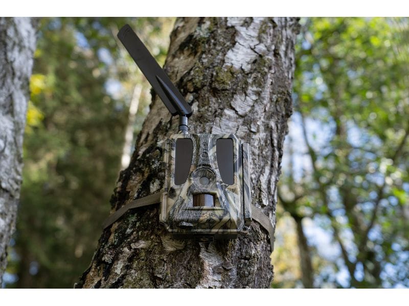 Dörr Kamera Wildkamera SnapShot Cloud Pro 4G WA Weitwinkel Überwachungskamera für hochauflösende Wildtierbeobachtung und Sicherheitsüberwachung