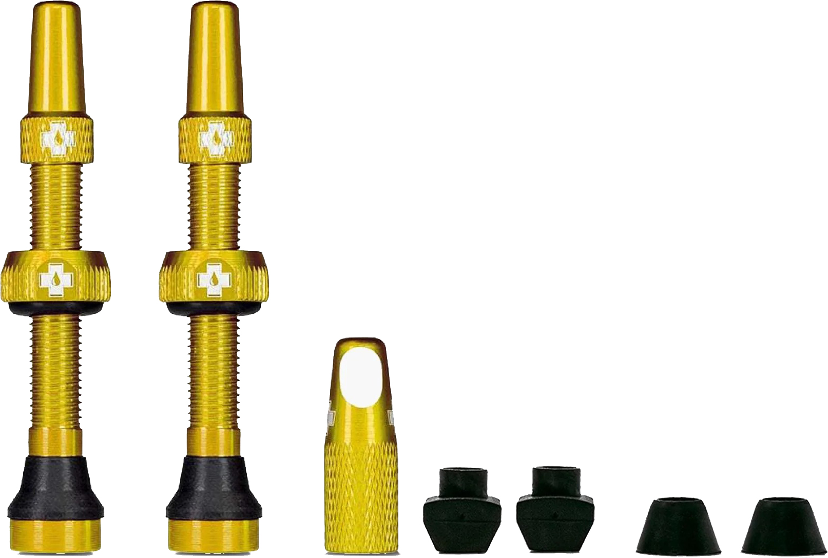 Tubeless Valves Gold