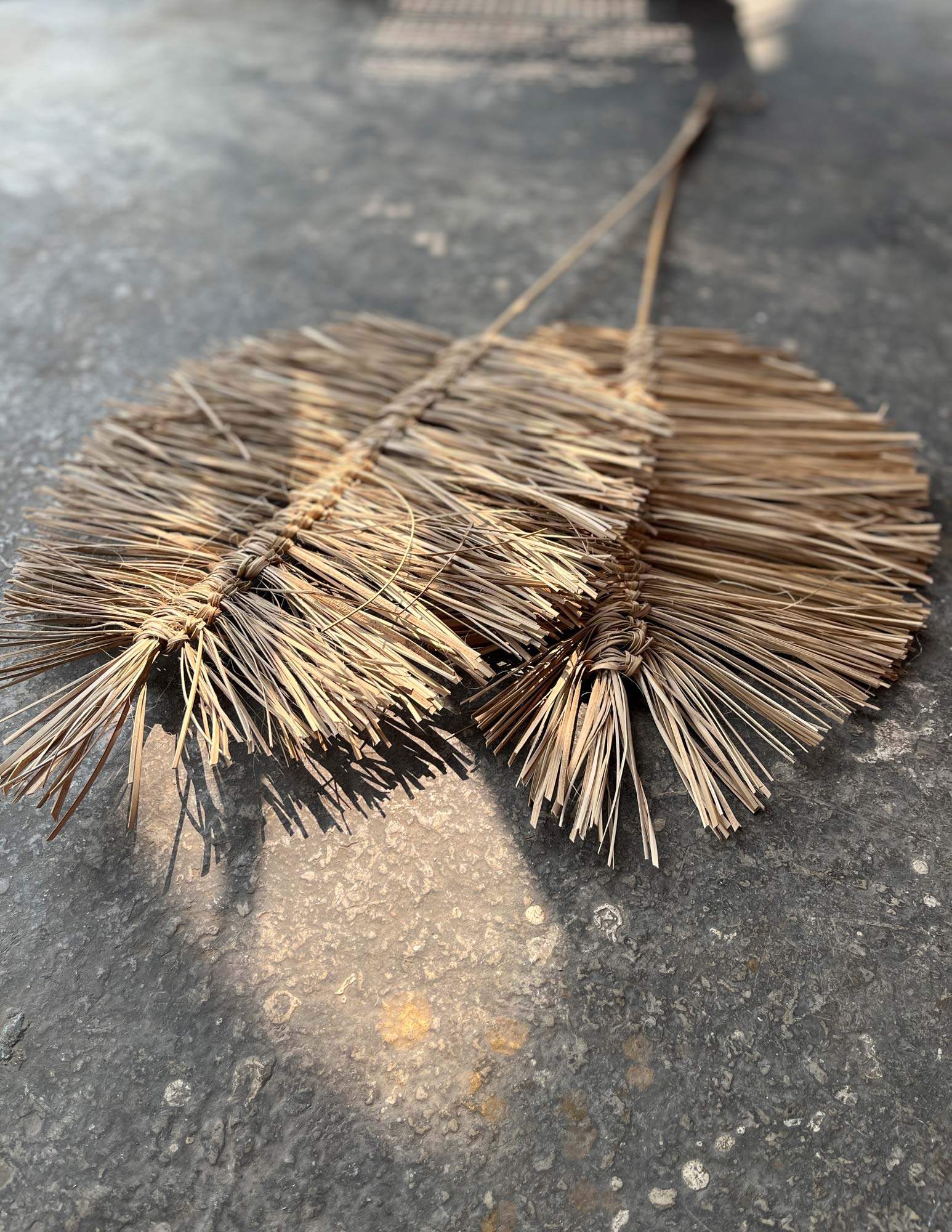 Rattan-Palmwedel-Duo, H 90 cm von fischer's lagerhaus