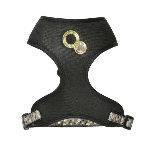 Kit Champagne harnais T-shirt et laisse pour grand chat : noir