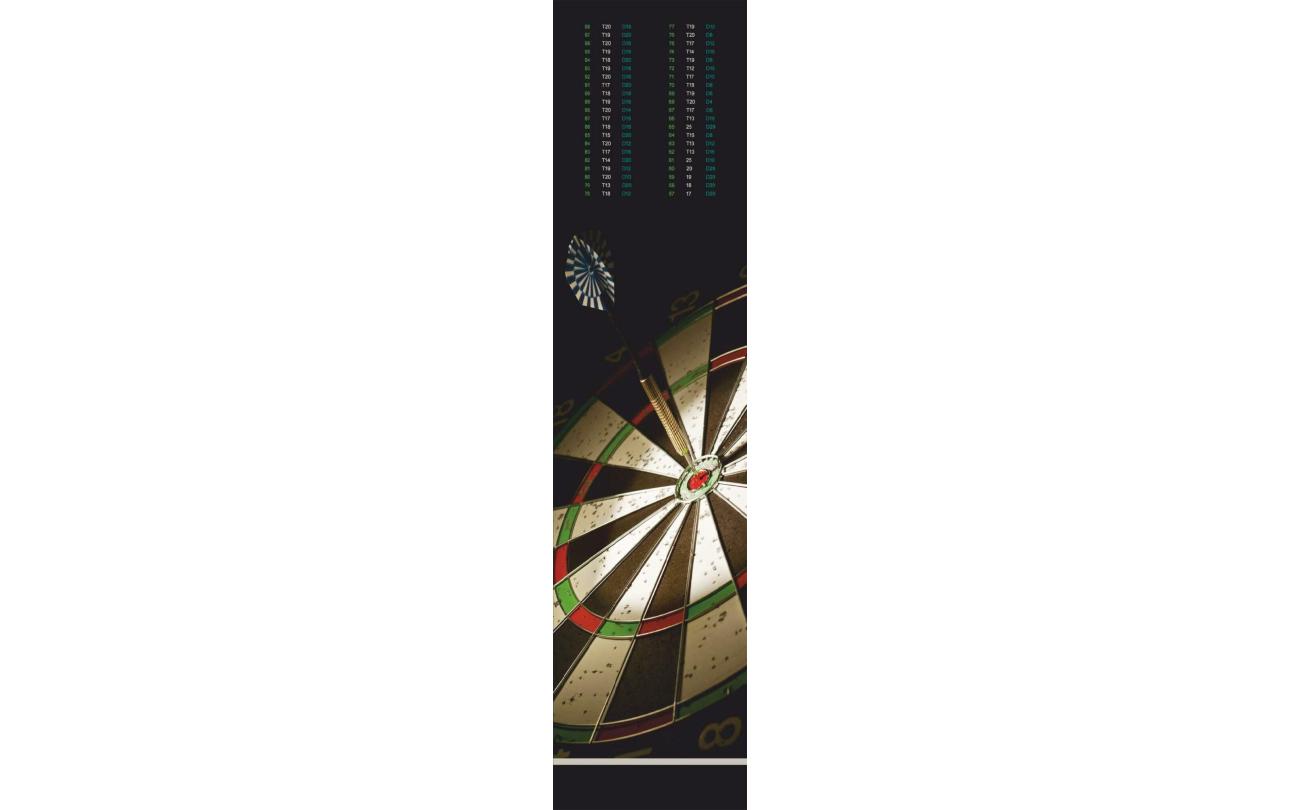 Dartmat met oche en uitwerpmogelijkheden 60x250cm