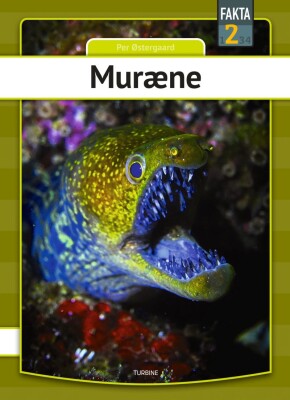 Muræne - Per Østergaard - Bog
