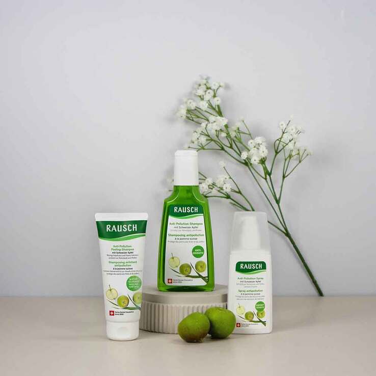 Rausch Anti-Pollution-Shampoo mit Schweizer Apfel, 40 ml