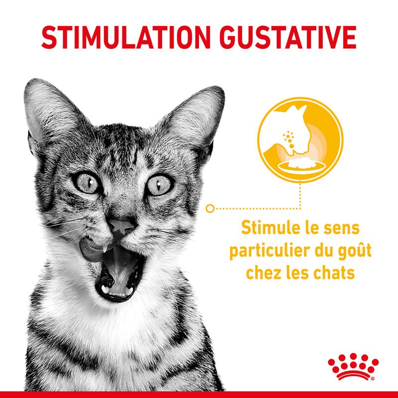 Royal Canin Sensory Taste en sauce