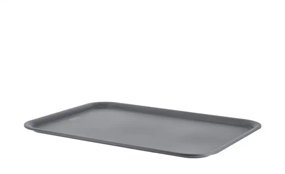 Rotho Deckel für Aufbewahrungsbox 36,5 cm