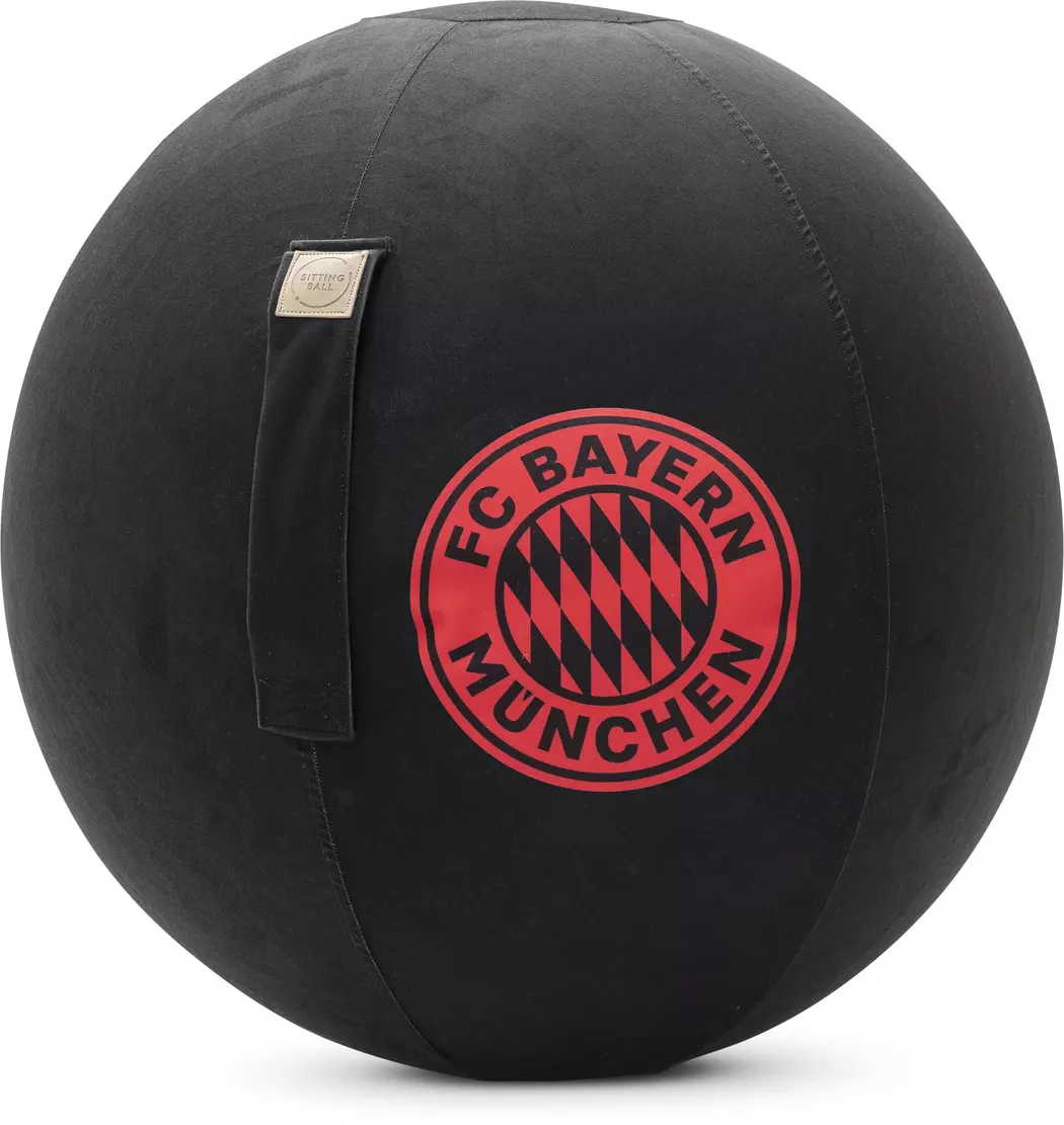 Sitzball FCB