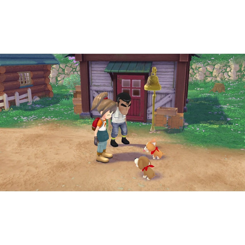 Story of Seasons: A Wonderful Life- Nintendo Switch