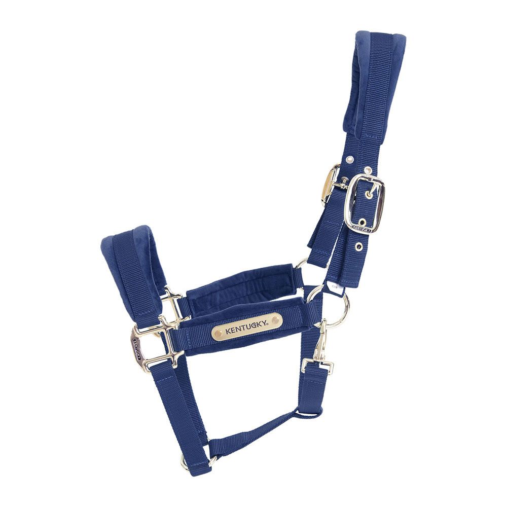 Kentucky VELVET - Licol navy