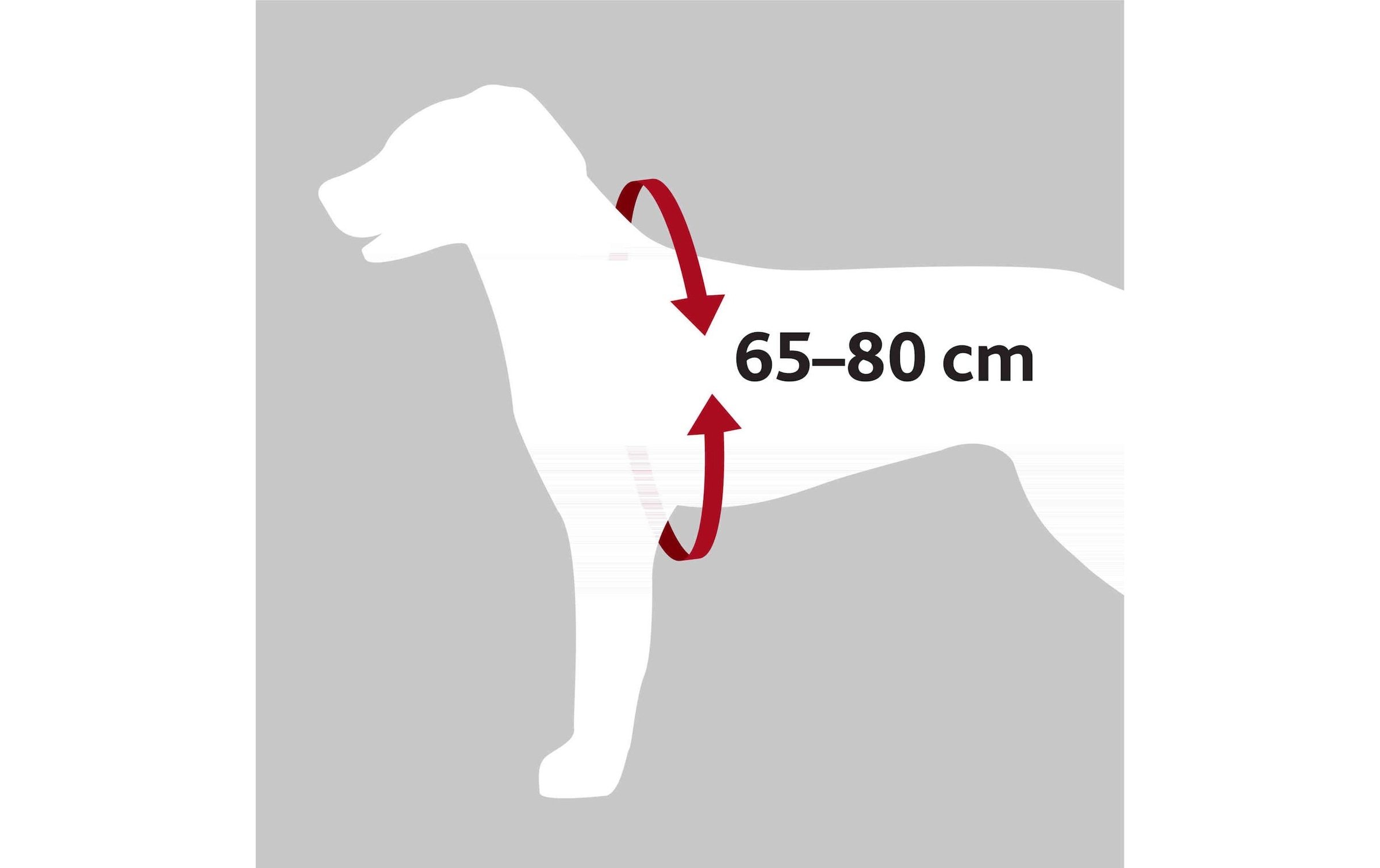 TRIXIE Hunde-Geschirr »Trixie Auto-Geschirr Dog Protect« Nylon