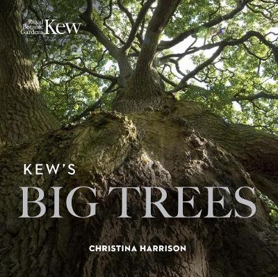 Kew's Big Trees (Paperback)