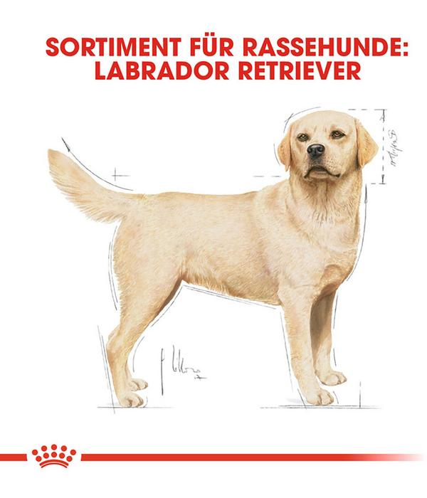 ROYAL CANIN® Trockenfutter für Hunde