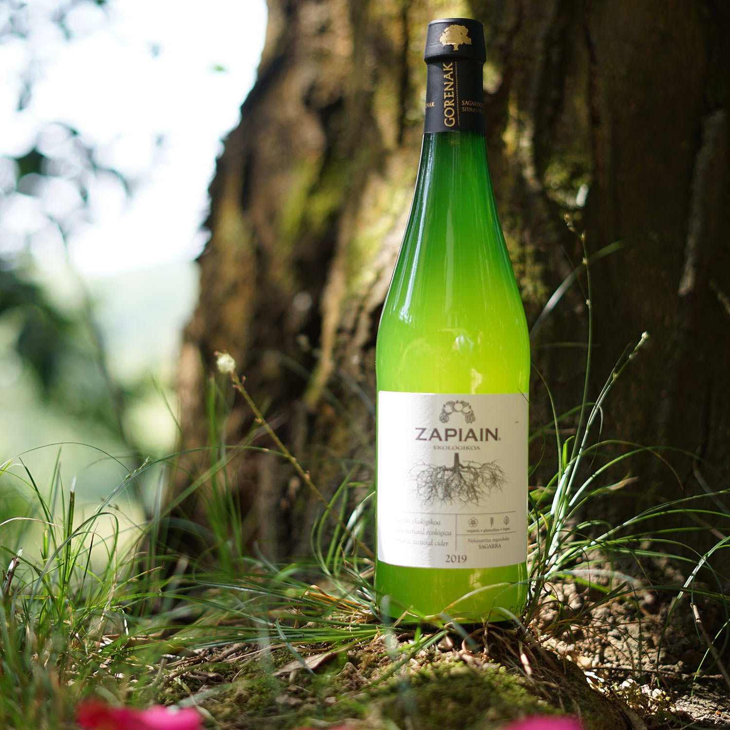 Cidre basque premium bio - Zapiain