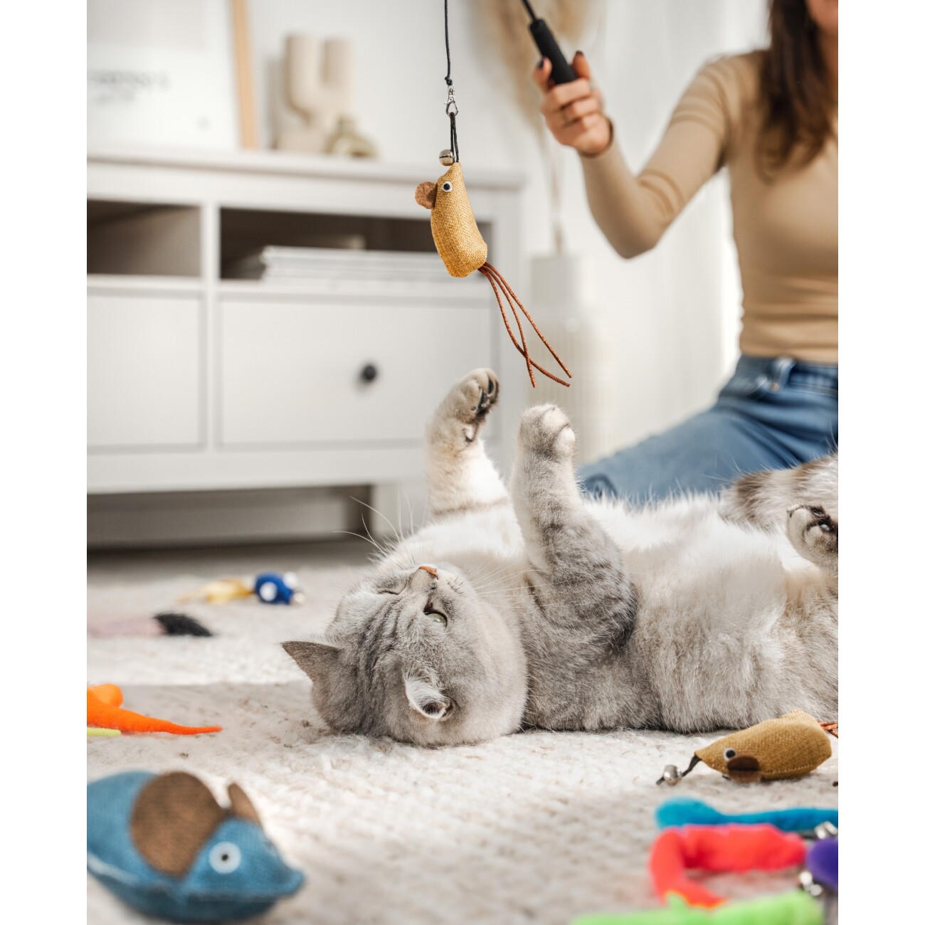 Lionto Katzenspielzeug Set Playmix