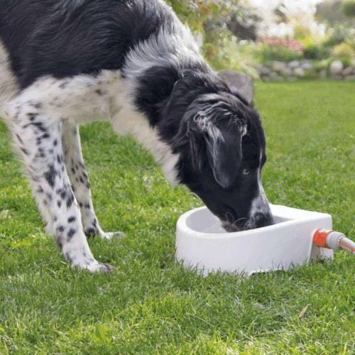 Dispensador automático de água para animais de estimação, branco