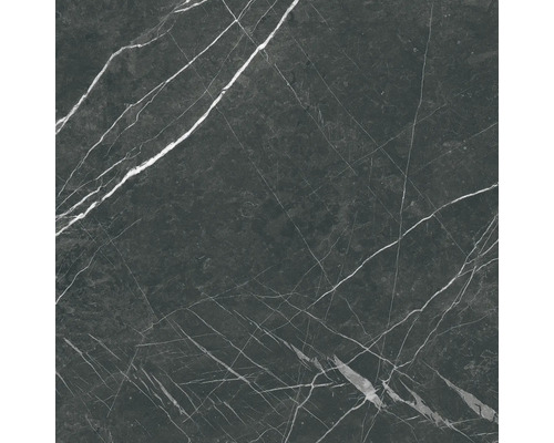 Steengoed wand- en vloertegel Davos zwart 60 x 60 x 0,9 cm glanzend
