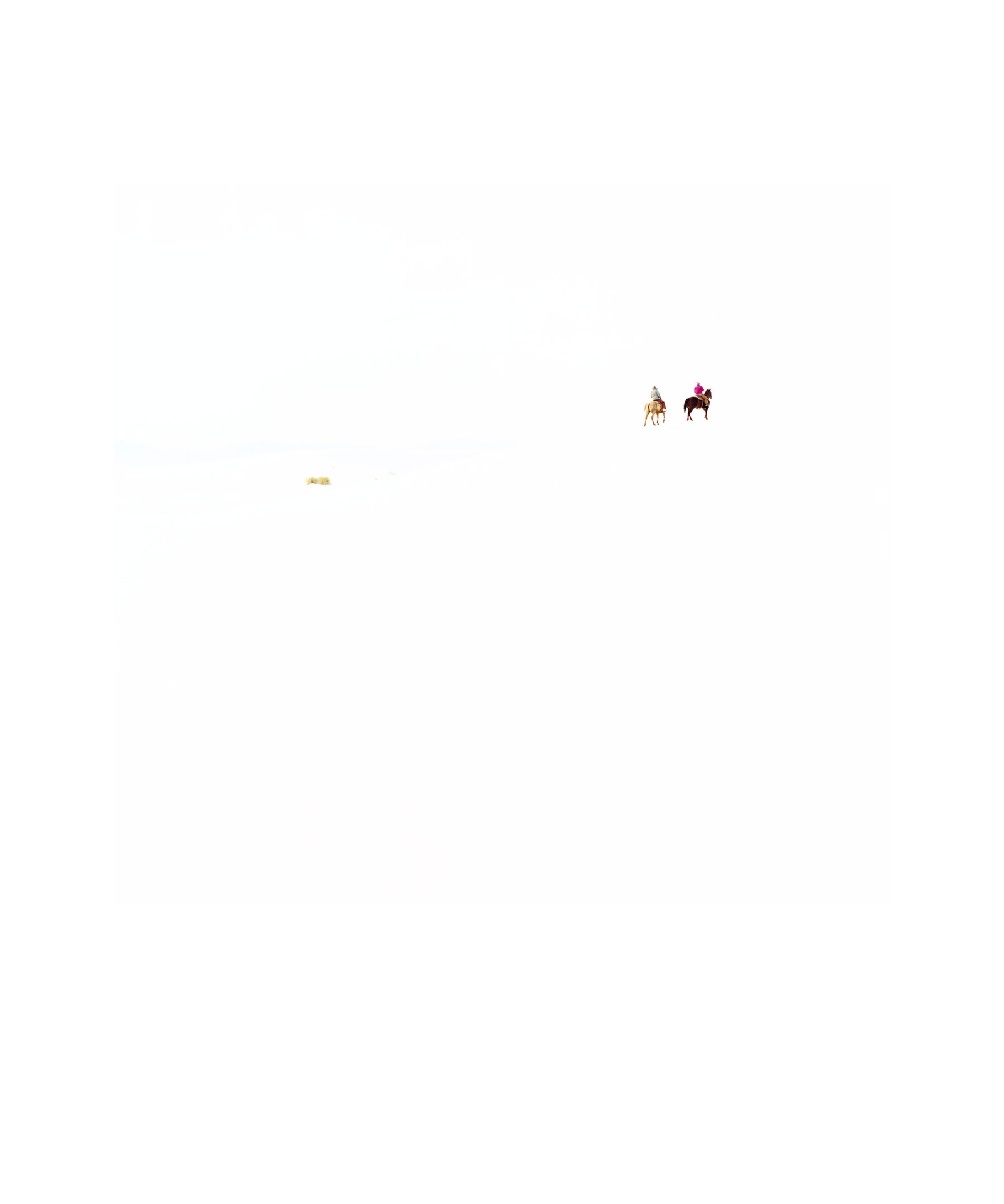 White Sands #8 by Julia Christe - Open Edition.