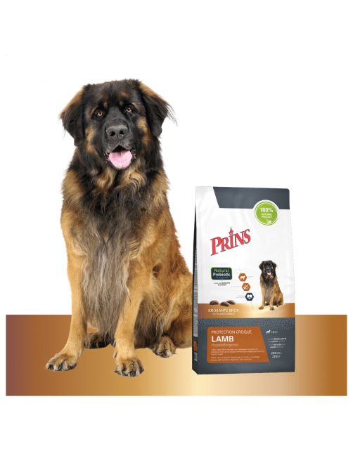 Prins Protection Croque Lamb Hypoallergenic - Hondenvoer