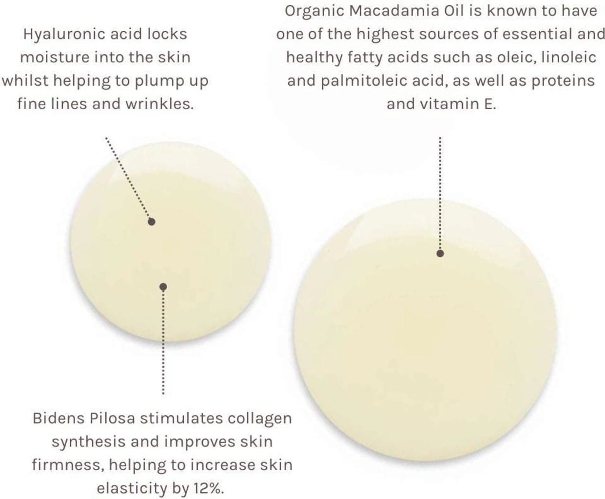 Evolve Organic Beauty  Timeless Renewal Bio-Retinol Body Oil, 100 ml