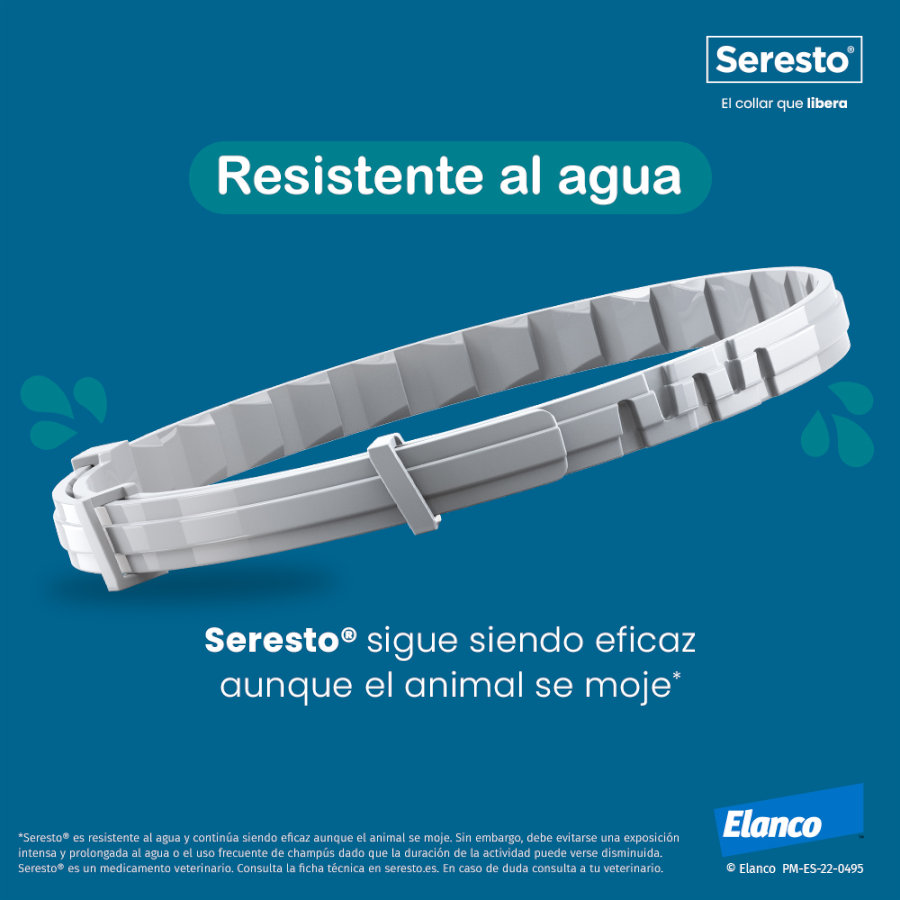 x Seresto Collar Antiparasitario para gatos 38cm - Pack Ahorro