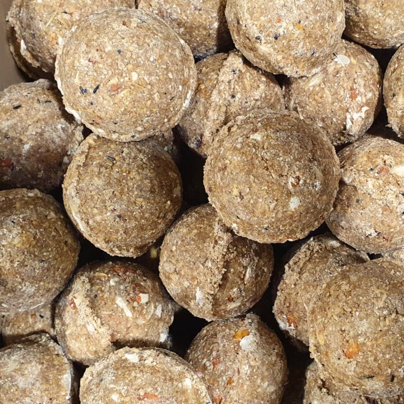 Orni Ganzjahres Meisenknödel mit Insekten ohne Netz 100 Stück