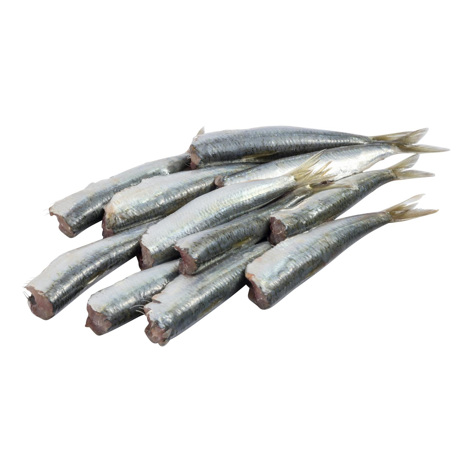 Sardine nettoyée sans tête