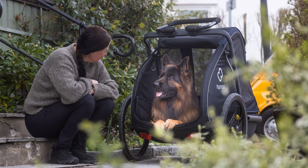 Hamax Pluto L - Hundeanhänger kaufen | Bike-Discount
