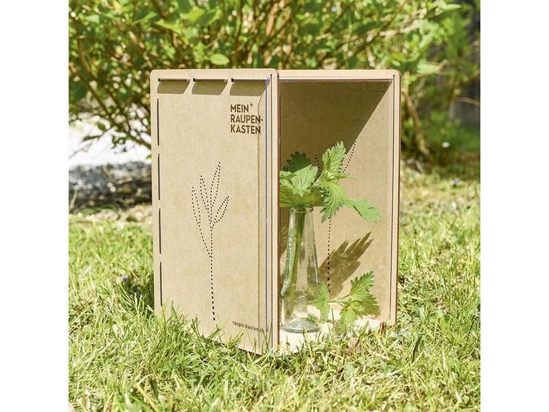 Mein Raupenkasten Insektenhotel Raupenkasten Aufzucht-Box