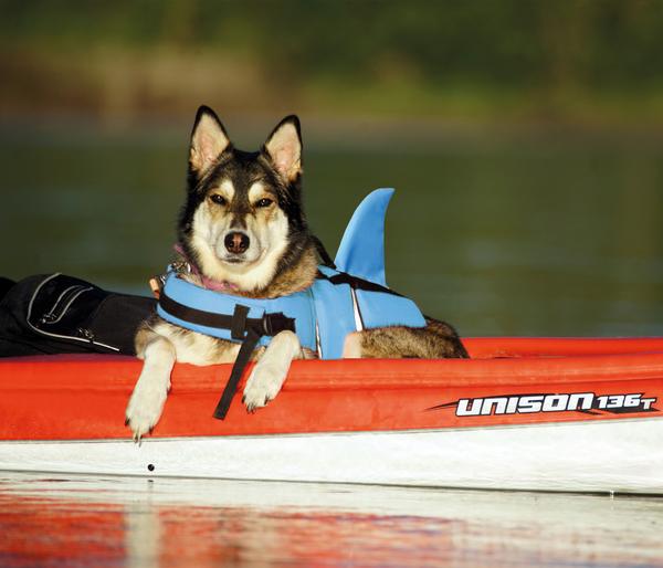 Nobby Schwimmhilfe für Hunde Sharki, hellblau