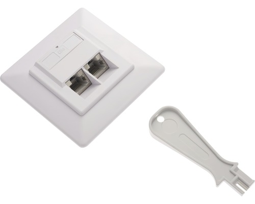 Cat 5 Ethernet-netwerkaansluiting, 2-voudig, inbouw, 17355