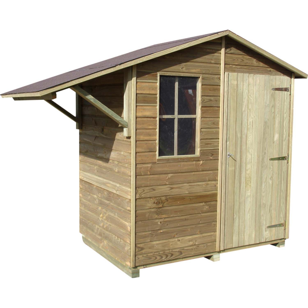 Abri de jardin avec abri bûches en pin brio 2