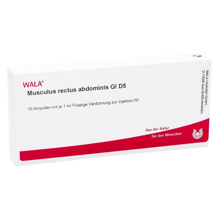 Musculus rectus abdominis GL D5 Ampullen, 10X1 ml